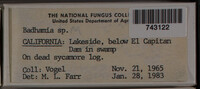 Image Associated With the Occurence